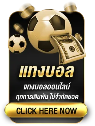 แทงบอล BY 1688starbet